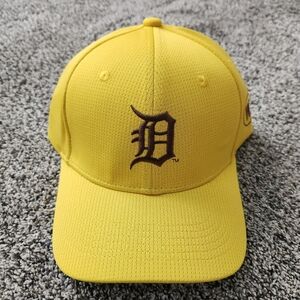 Detroit Tigers Hat - WMU Edition